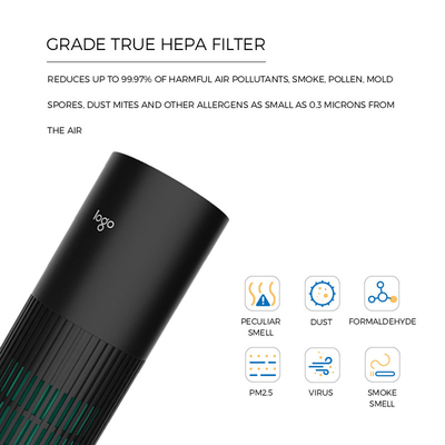 Menghapus PM2.5 Pembersih Udara Mobil Ionizer 10 Juta Ion Negatif Membunuh 99,9% Virus